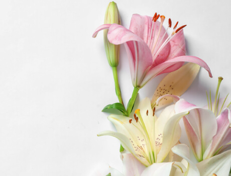 お別れ花の画像